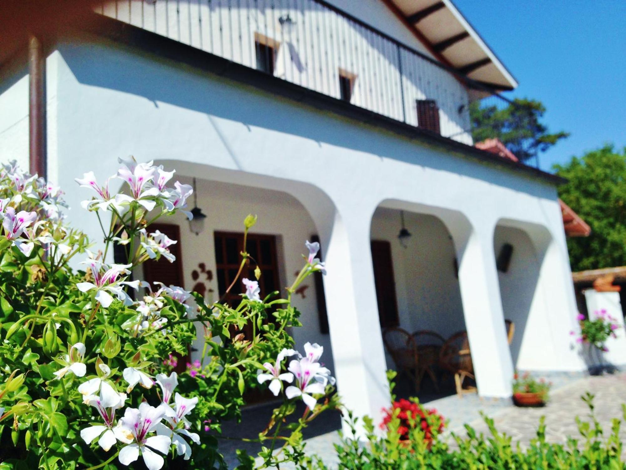 B&B Villa Incrocca Cerreto dʼEsi Buitenkant foto